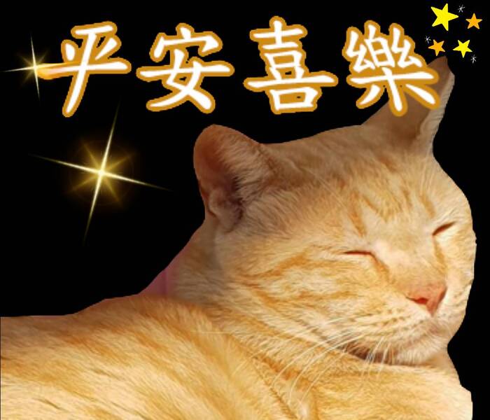 柴柴與貓(灬°ω°灬)圖片
