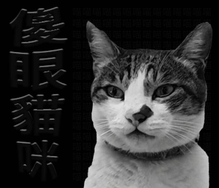 柴柴與貓(灬°ω°灬)圖片