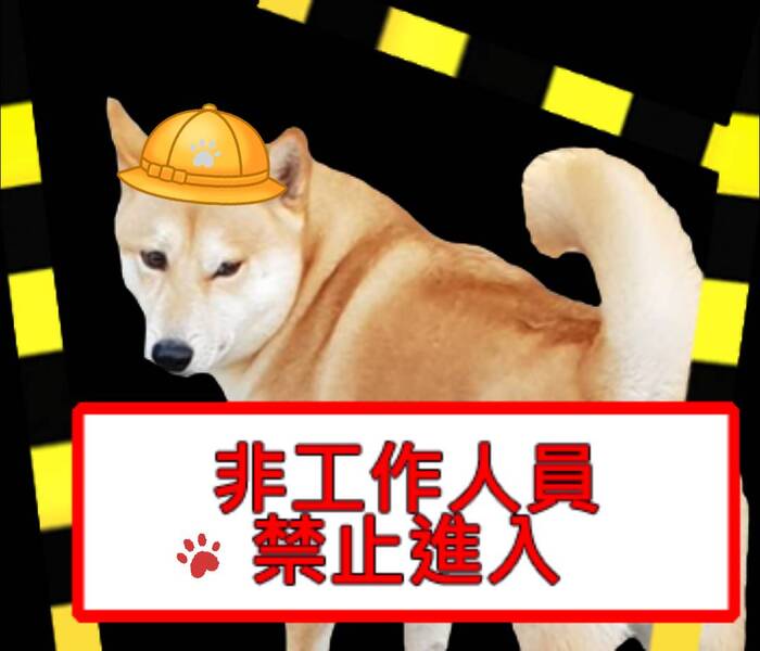 柴柴與貓(灬°ω°灬)圖片
