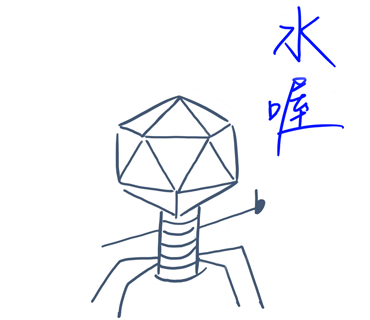 Phage日常圖片