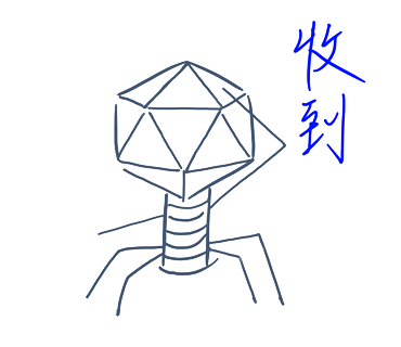 Phage日常圖片