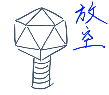 Phage日常圖片