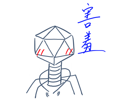 Phage日常圖片