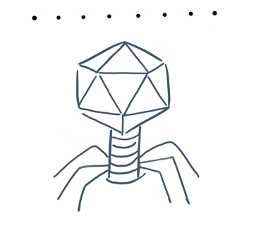 Phage日常圖片