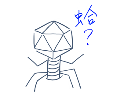 Phage日常圖片