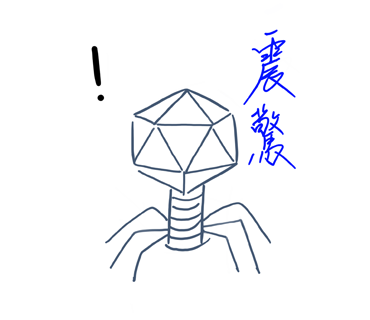 Phage日常圖片
