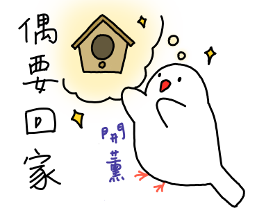 鳥鳥的日子圖片