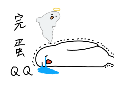 鳥鳥的日子圖片