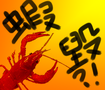 沒有氣質圖片