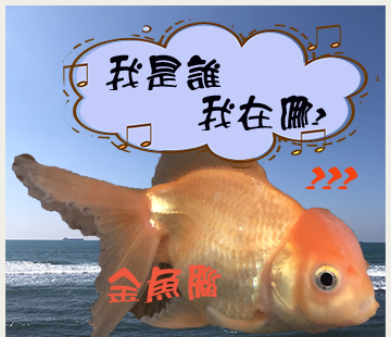 IHM健康圖片
